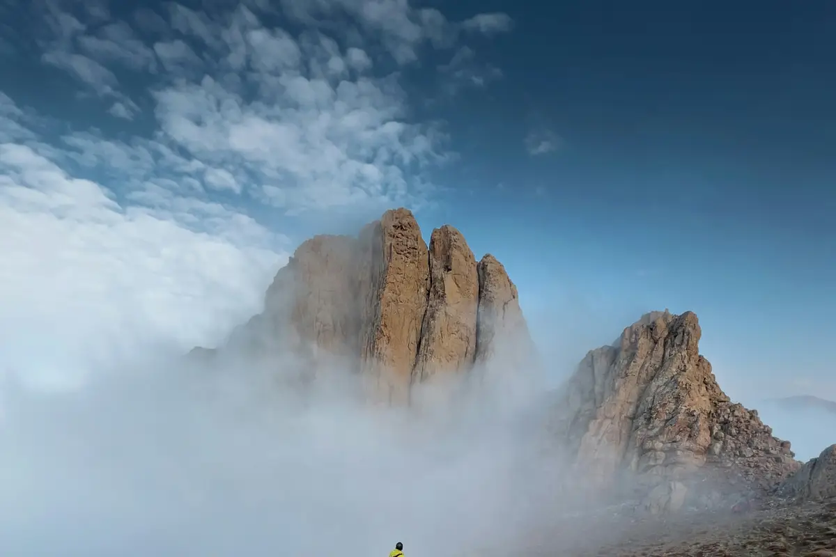 Brak lokalnego numeru telefonu i adresu